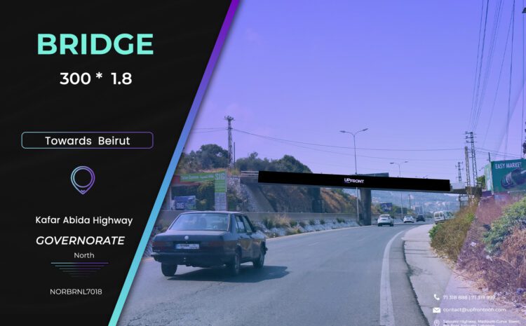  NORBRNL7018 – Birdge Kfar Aabida